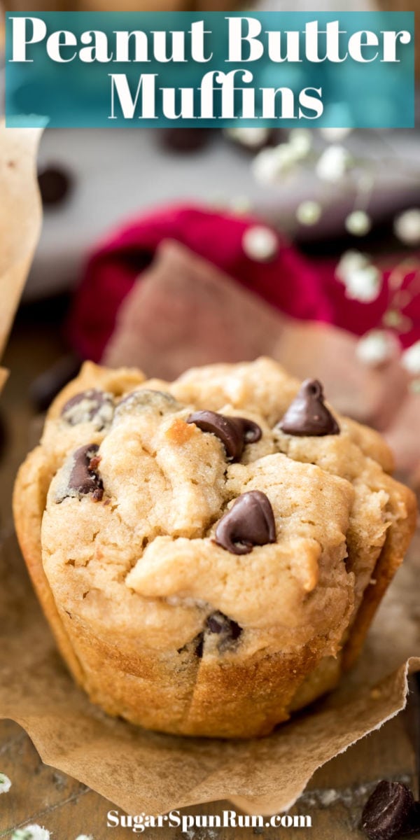 Peanut butter chocolate chip muffin on parchment paper