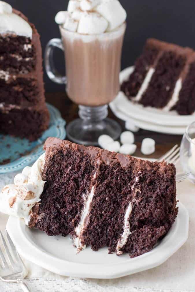 fudgy cake on white plate