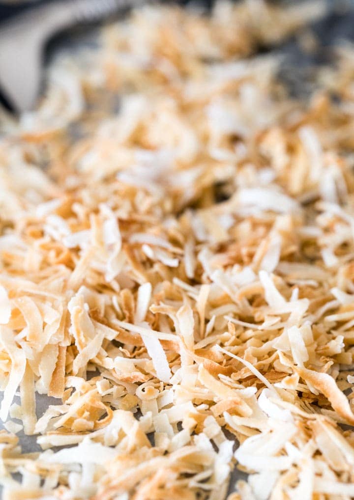 toasted coconut