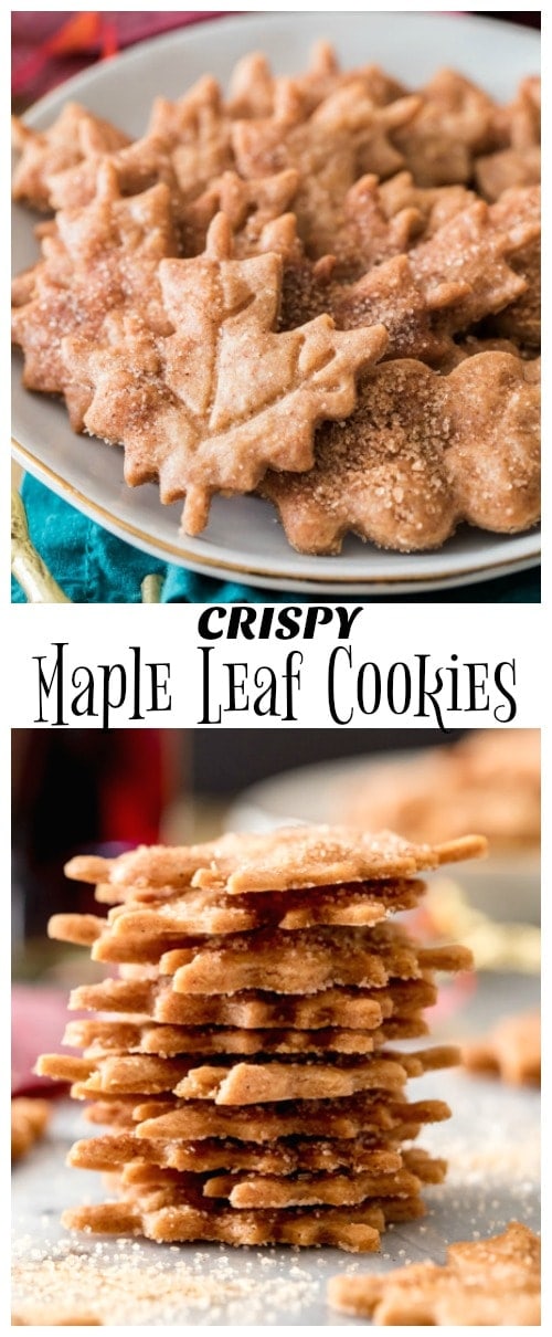 Crispy Maple Leaf Cookies