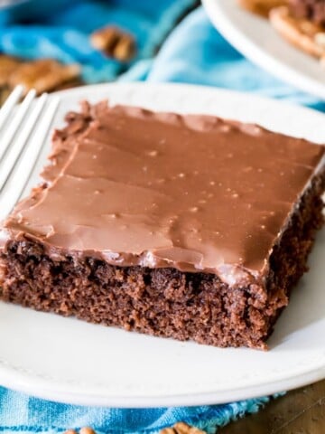 texas sheet cake on white plate