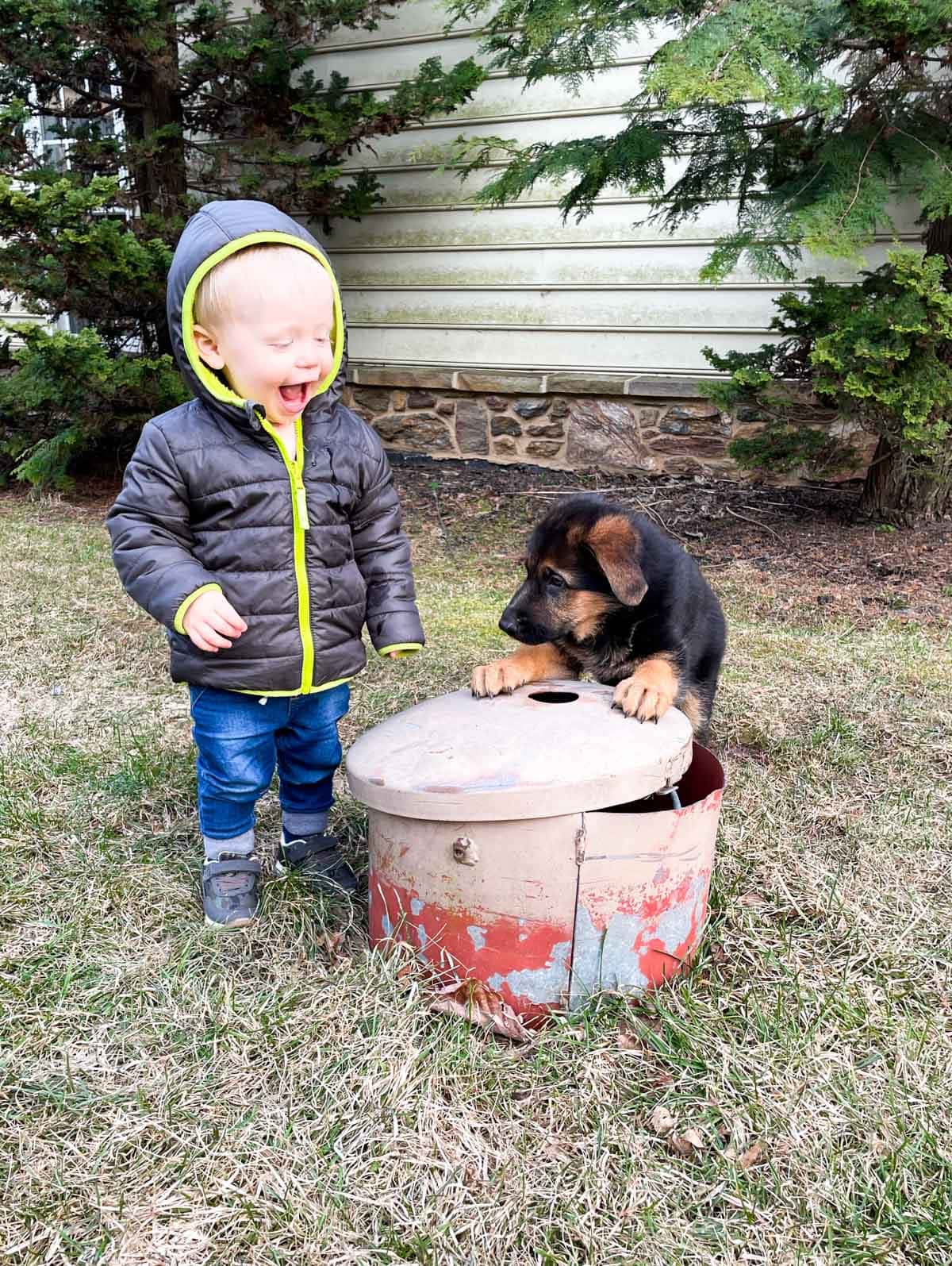 toddler boy and german shepherd puppy standing near well