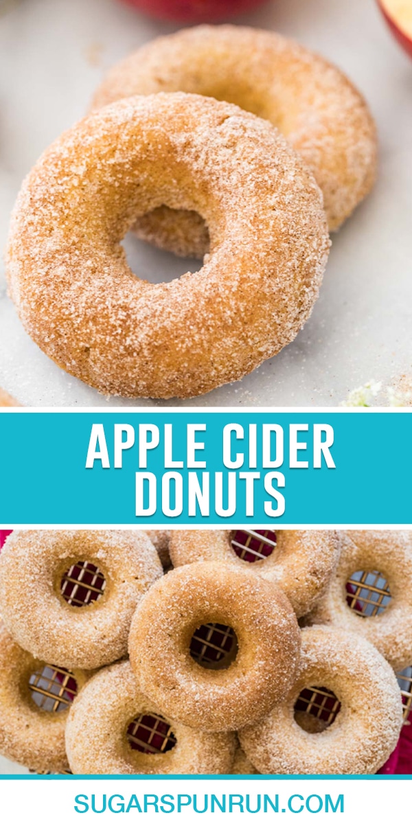 collage of apple cider donuts, top image of two donuts close up, bottom image of multiple spread out and stacked