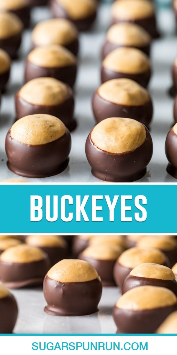 collage of buckeyes, top image is a close up of buckeyes neatly lined up. Bottom image is a close up of single buckeye with some surrounding it.