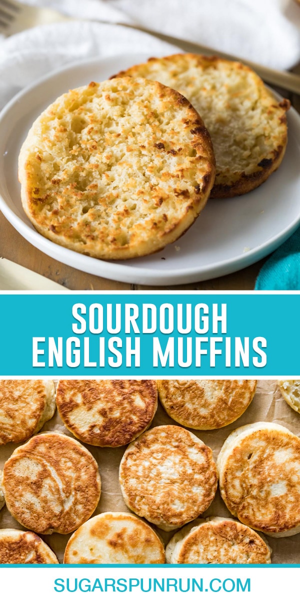 collage of sourdough english muffins, top image of sliced muffin toasted, bottom image of multiple muffins photographed from above.