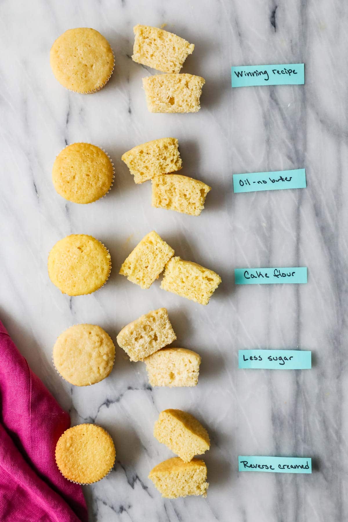 Overhead comparing  several versions of a vanilla cupcake recipe.