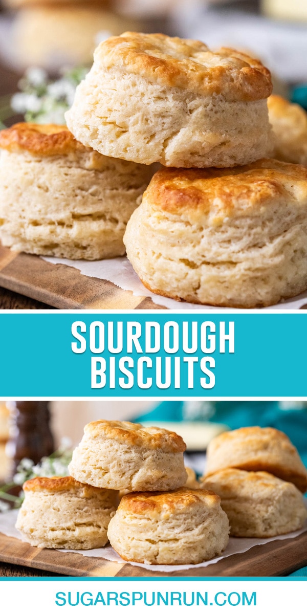 collage of sourdough biscuits, top image of three biscuits close up, bottom image same photographed from further away