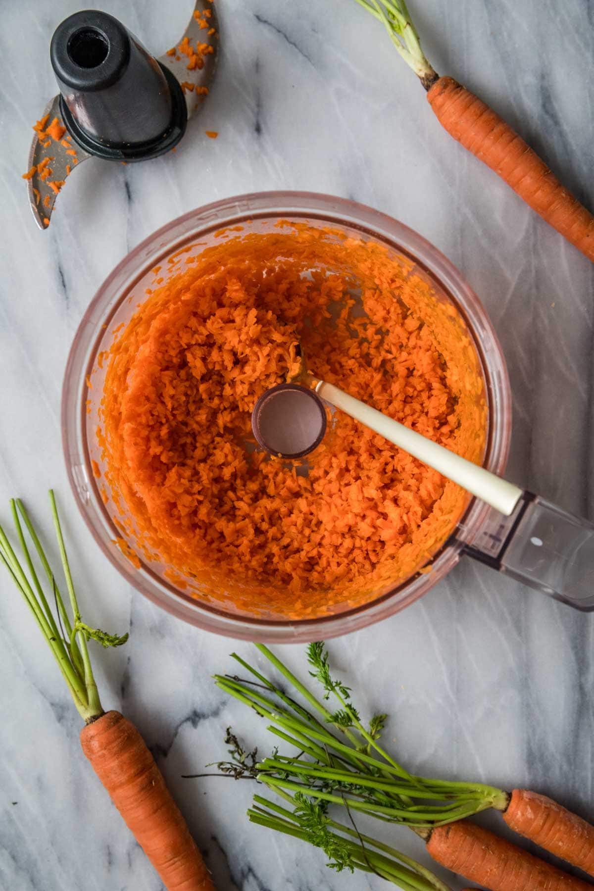 Overhead view of grated carrots in a food processor bowl.