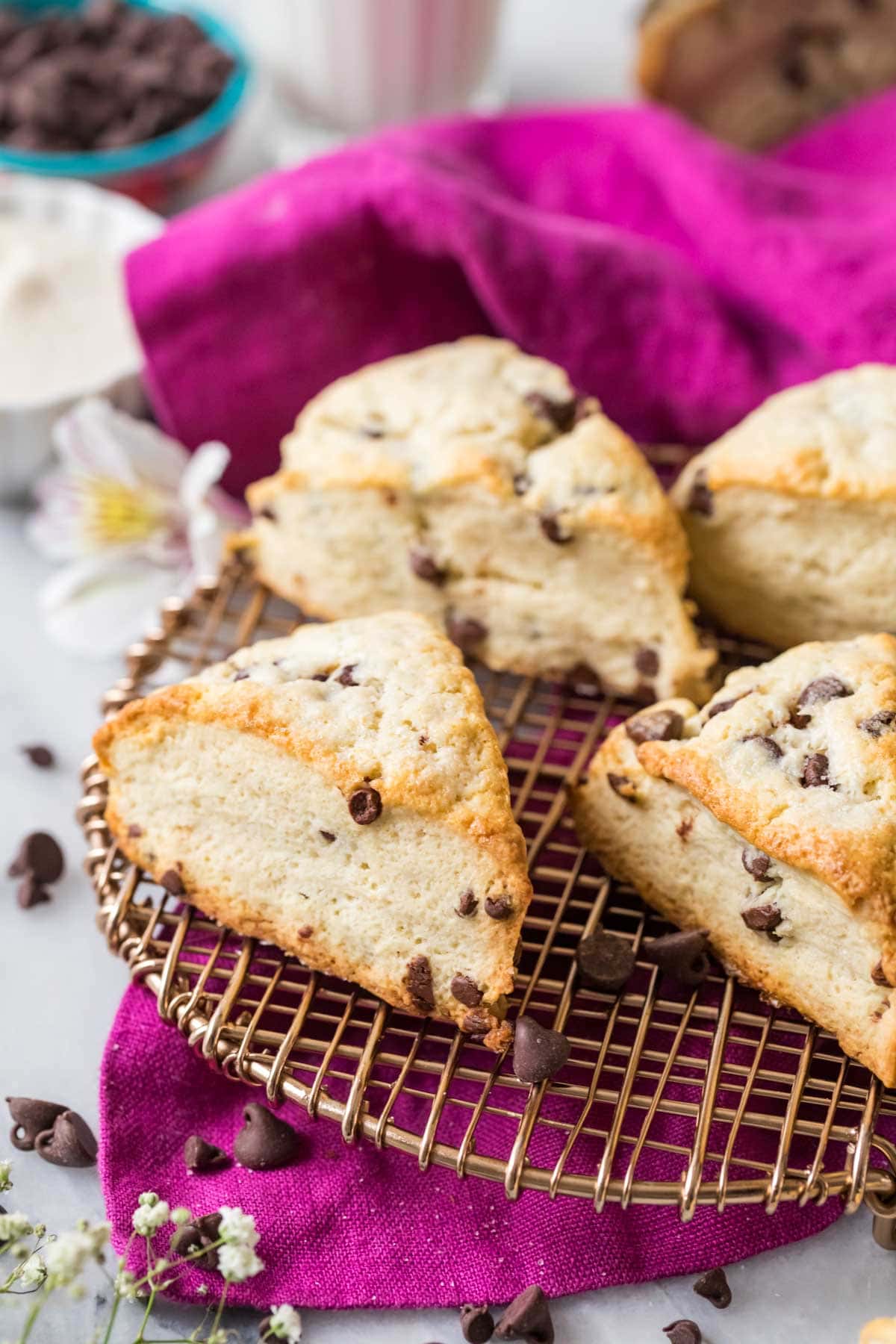 Chocolate chip sourdough scones on a metal cooling rack.