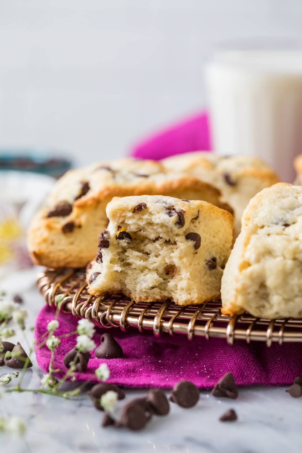 Chocolate chip scone made with sourdough discard with one bite missing.