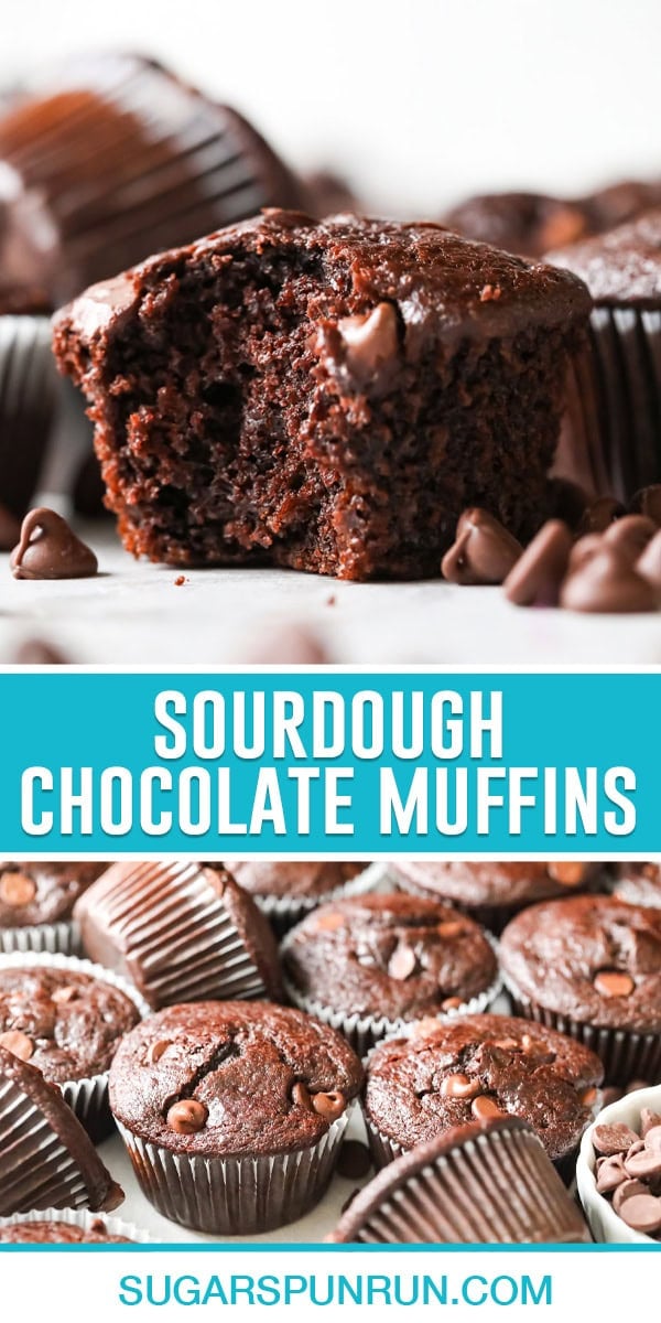collage of sourdough chocolate muffins, top image is a close up of single muffin bite taken out close up, bottom image of multiple muffins tightly placed together