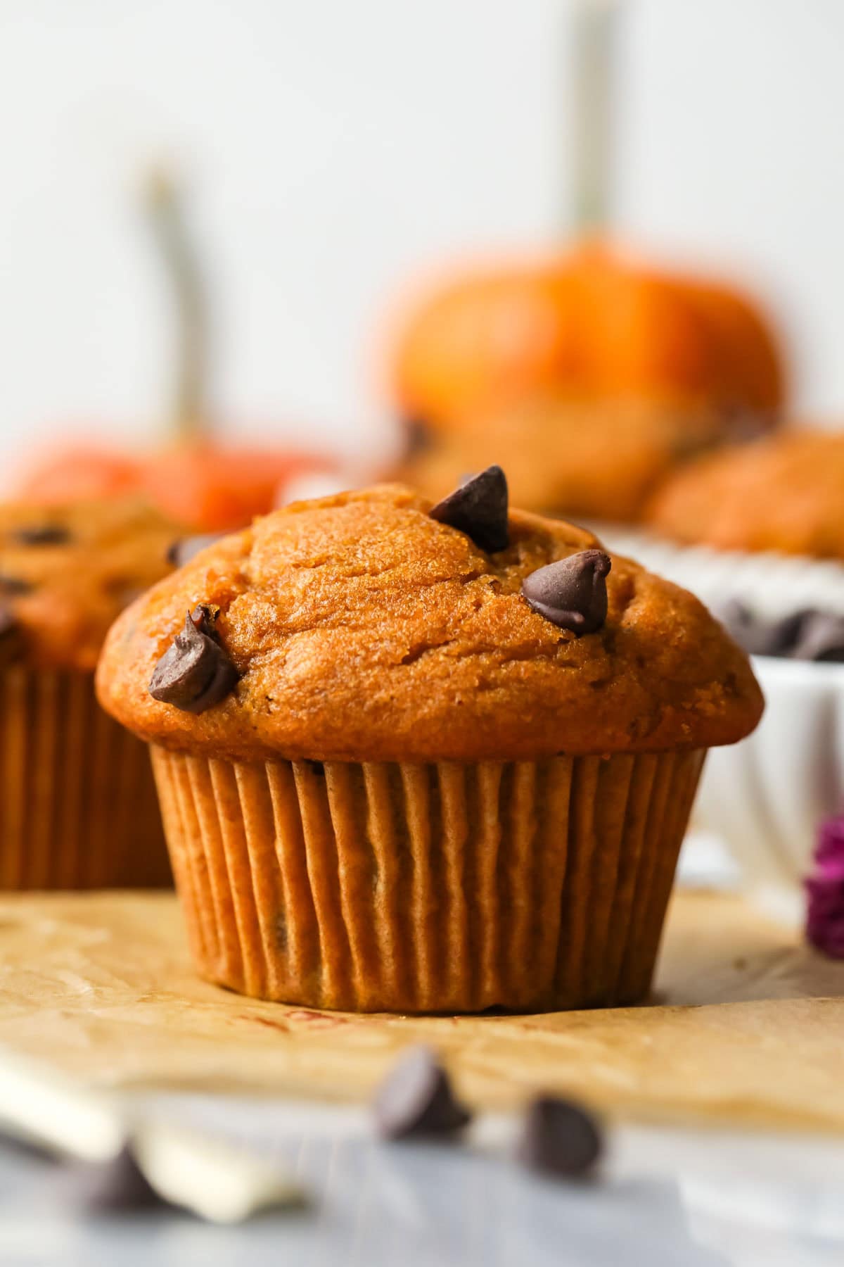 Close-up view of a pumpkin chocolate chip muffin.