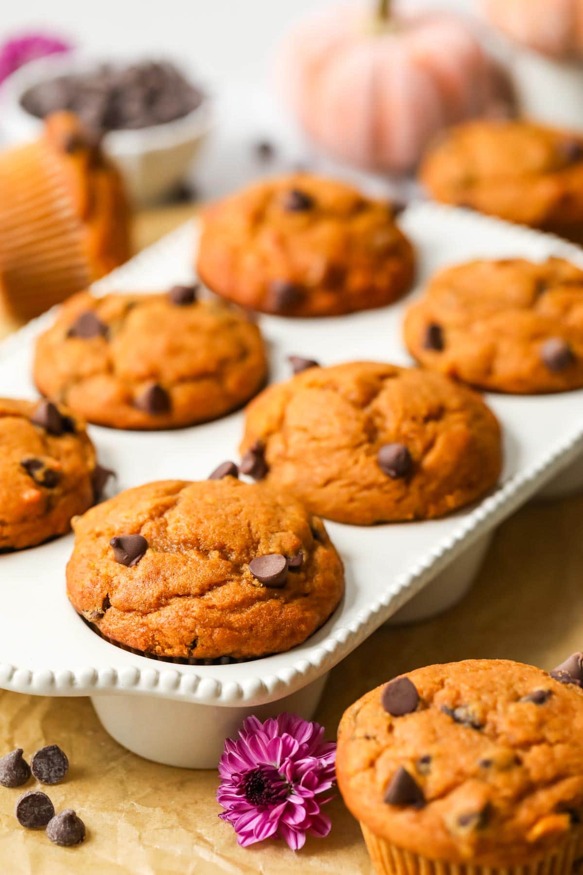 Close-up view of a tray of pumpkin chocolate chip muffins.