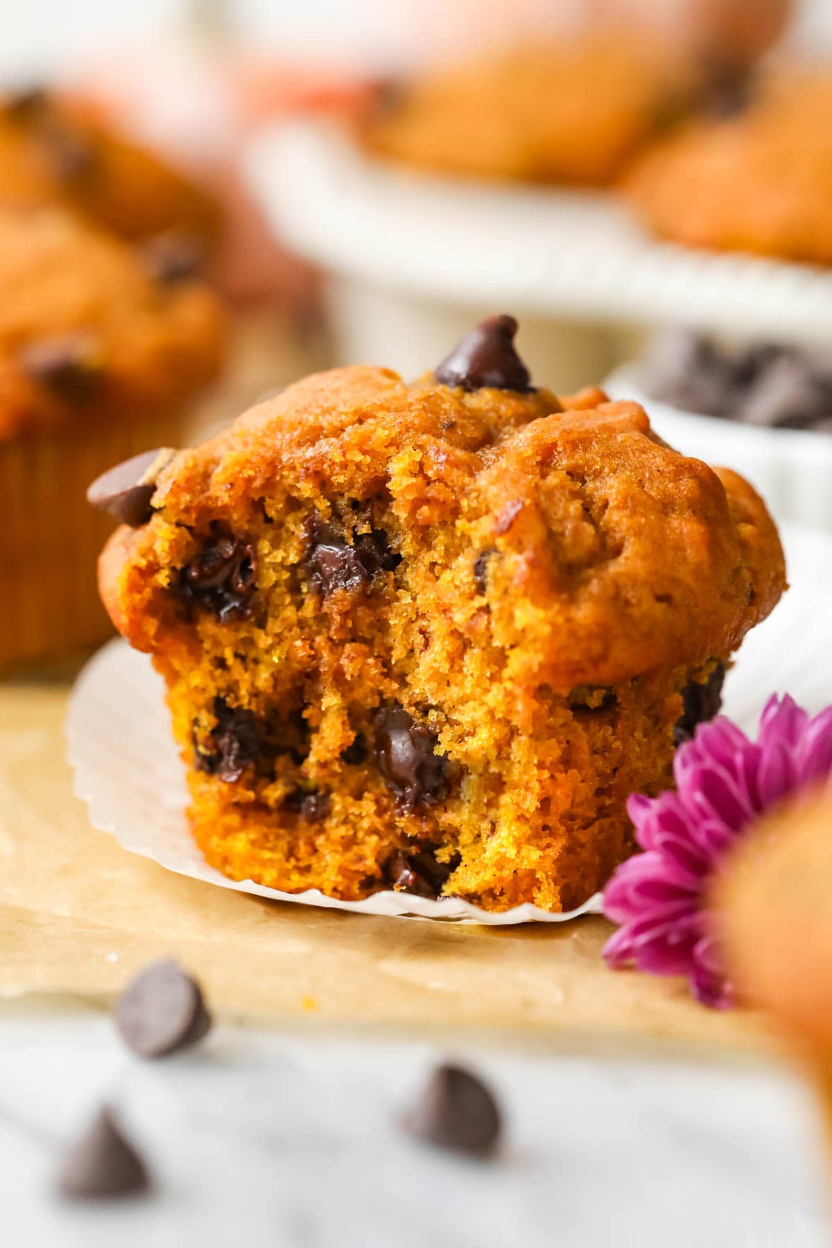 Pumpkin chocolate chip muffin that's missing a bite.