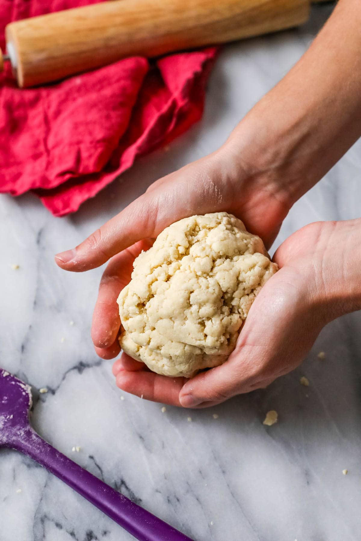Hands holding a shaggy pie dough made with sourdough.