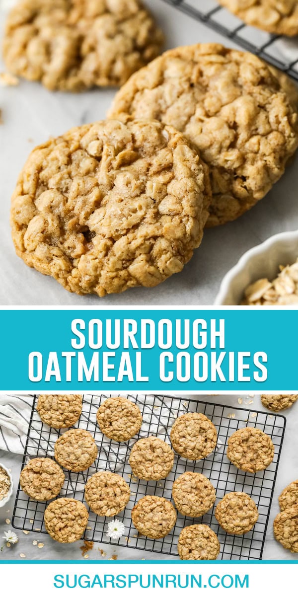 collage of sourdough oatmeal cookies, top image of two cookies close up, bottom image of multiple cookies cooling on wire rack photographed from above