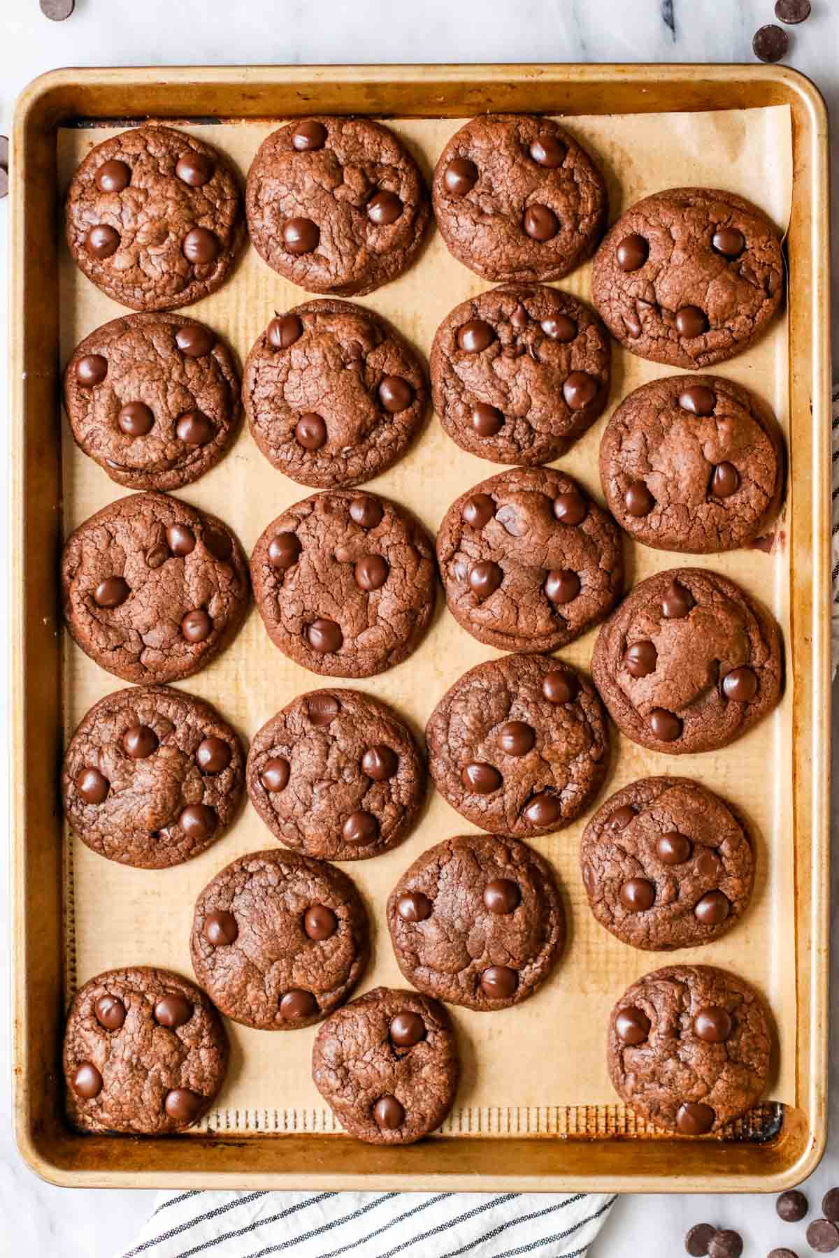 Overhead view of a tray of double chocolate chip cookies.