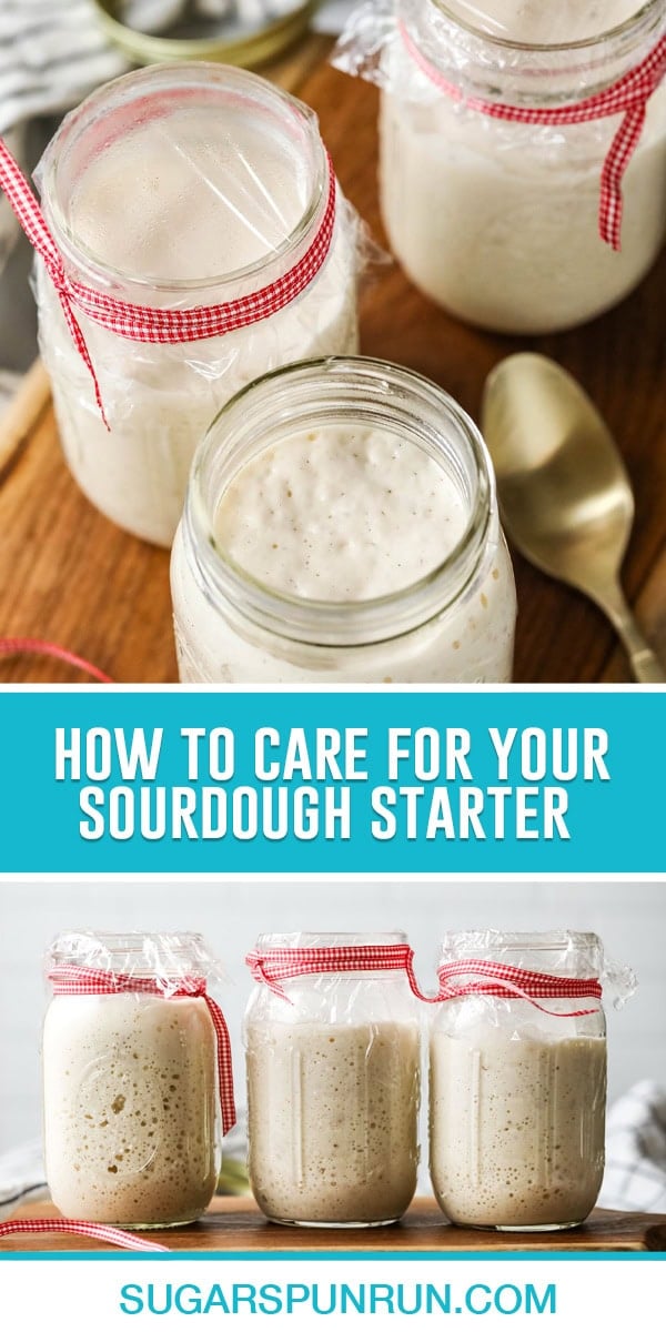 collage of care tips for sourdough starter