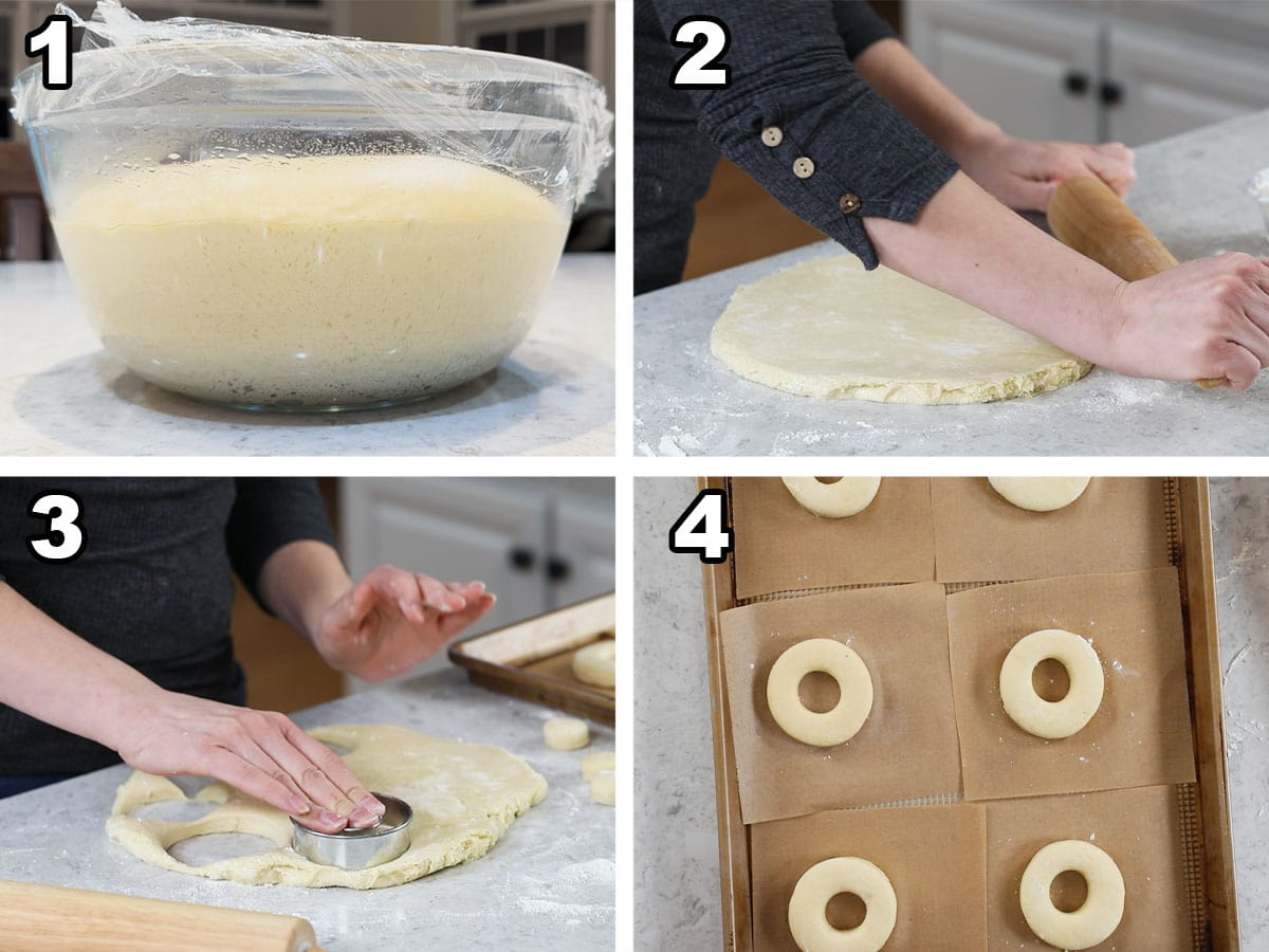 Four photos showing a dough being rolled and cut into donuts after rising.