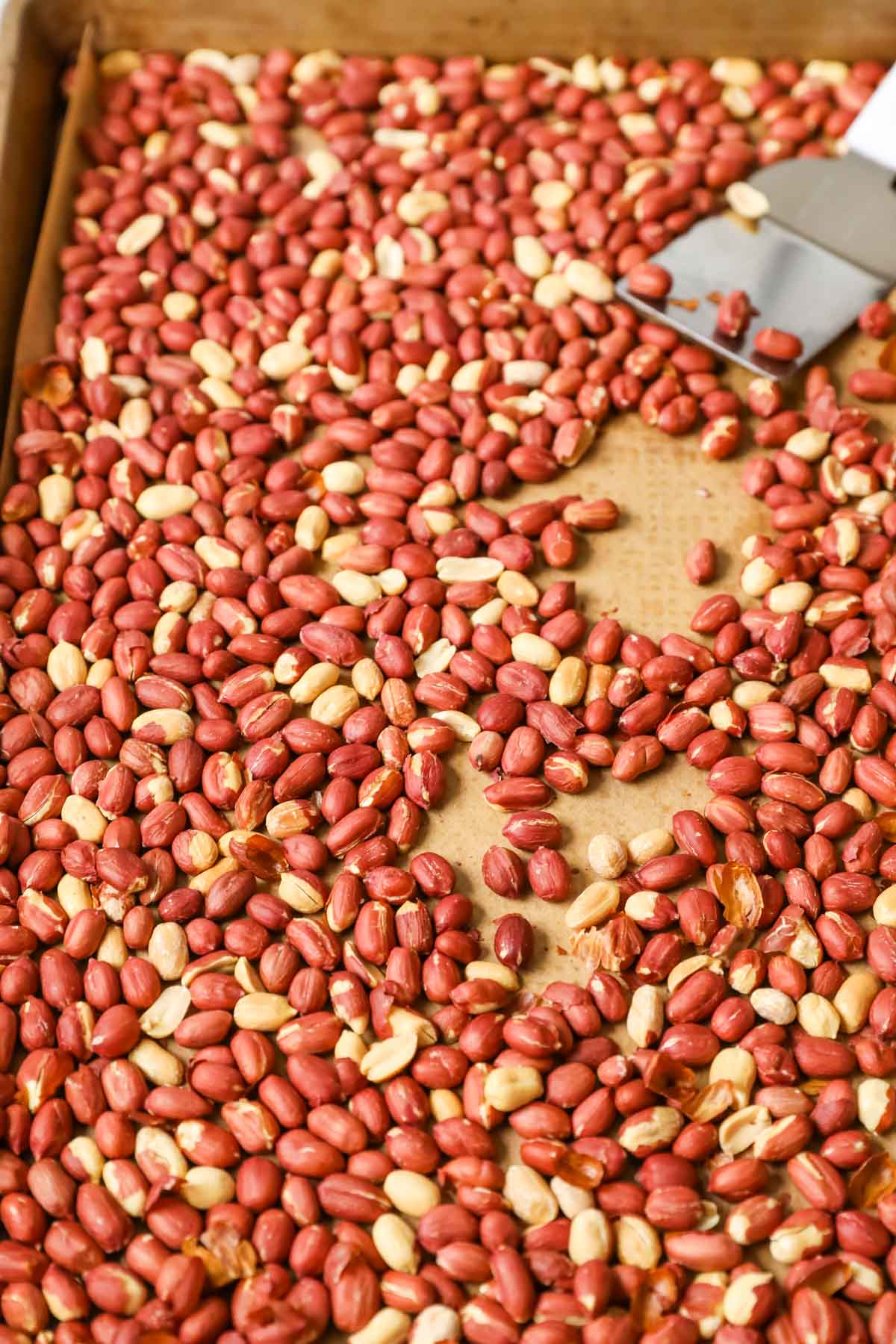 Sheet pan of peanuts after roasting.