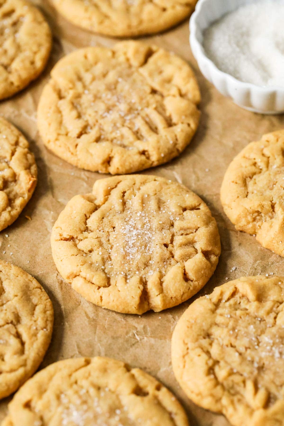 Sourdough peanut butter cookies with sugared tops on brown parchment paper.