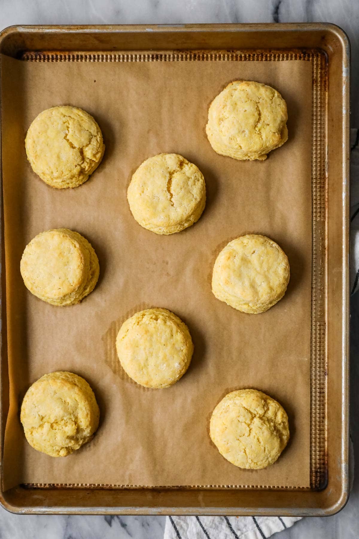 Overhead view of cornbread biscuits on a baking sheet after baking.