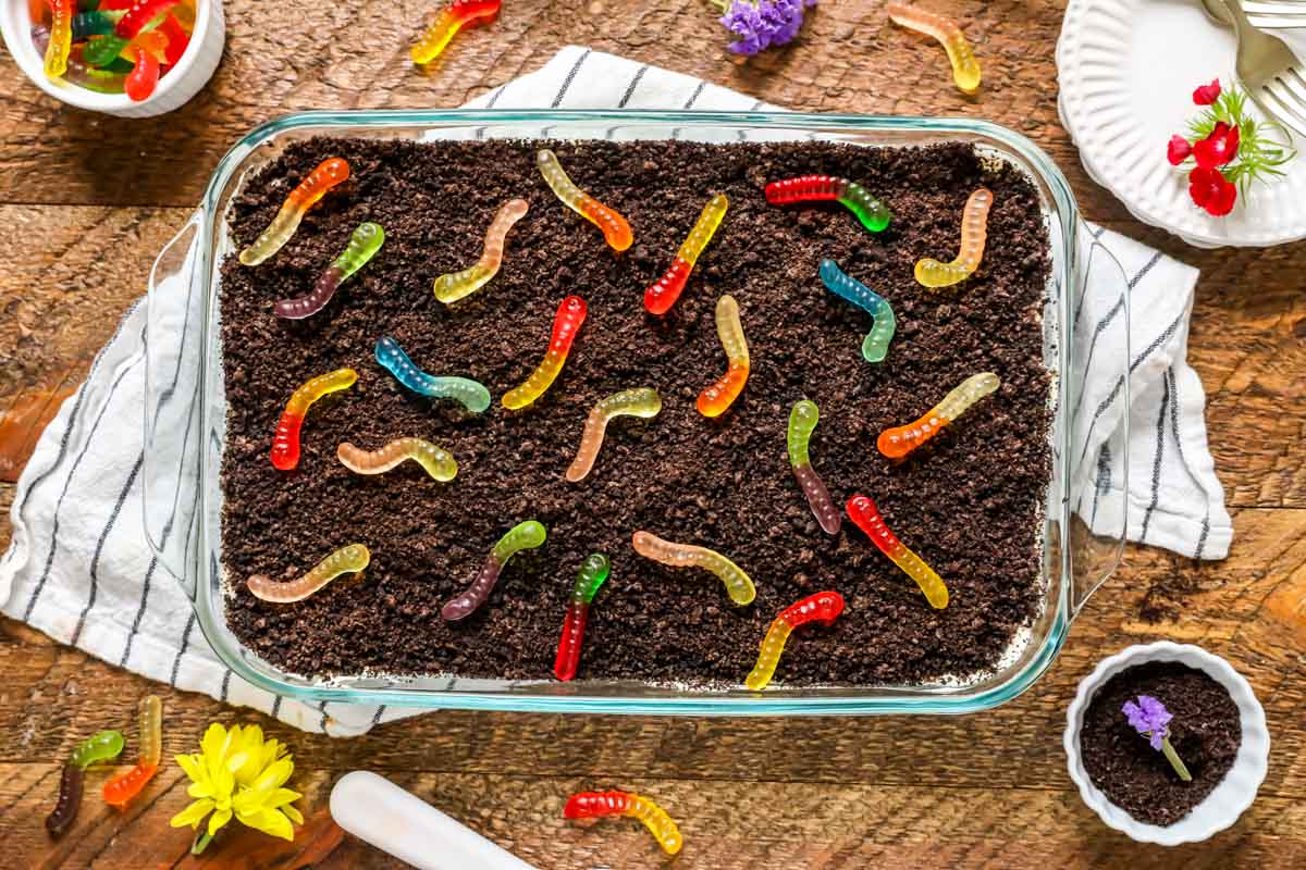 Overhead view of a cake made to look like dirt topped with colorful gummy worms.