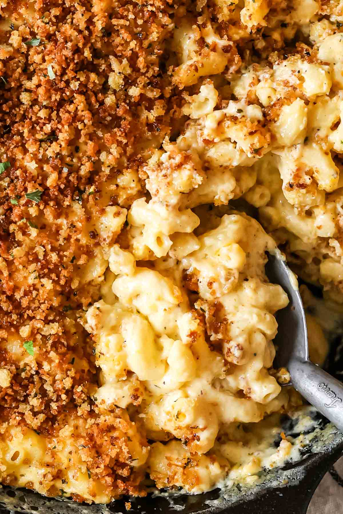 The creamiest, easiest, BEST Mac and Cheese Recipe! This is so good! #macandcheese #dinnerrecipe #kidfriendlyrecipe Close-up of creamy, cheesy baked mac and cheese in dish with serving spoon and crispy panko.