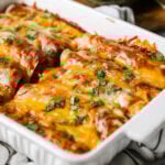 Chicken enchiladas in a white baking dish topped with chopped cilantro.