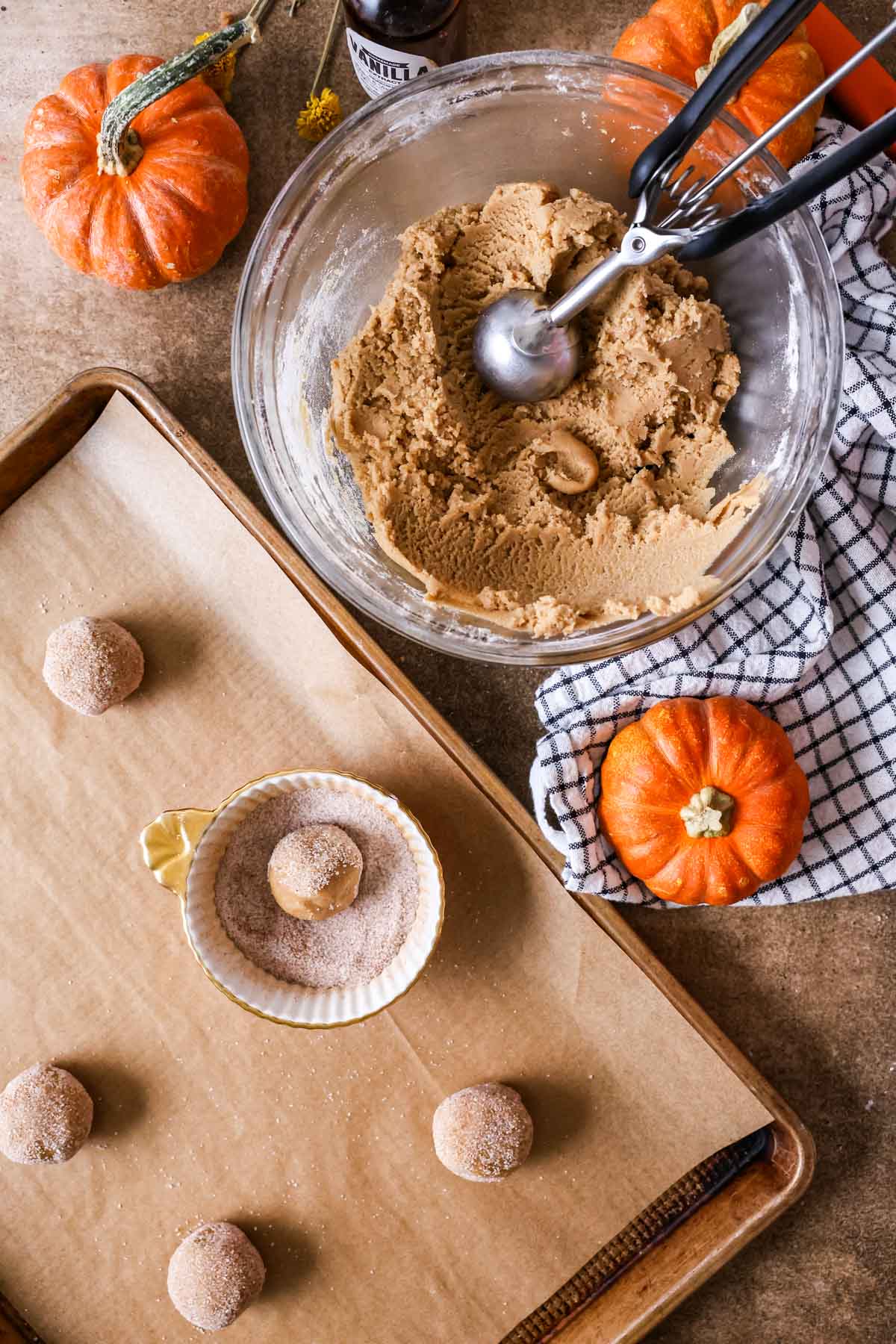Overhead view of cookie dough being rolled through a spiced sugar mixture before baking.