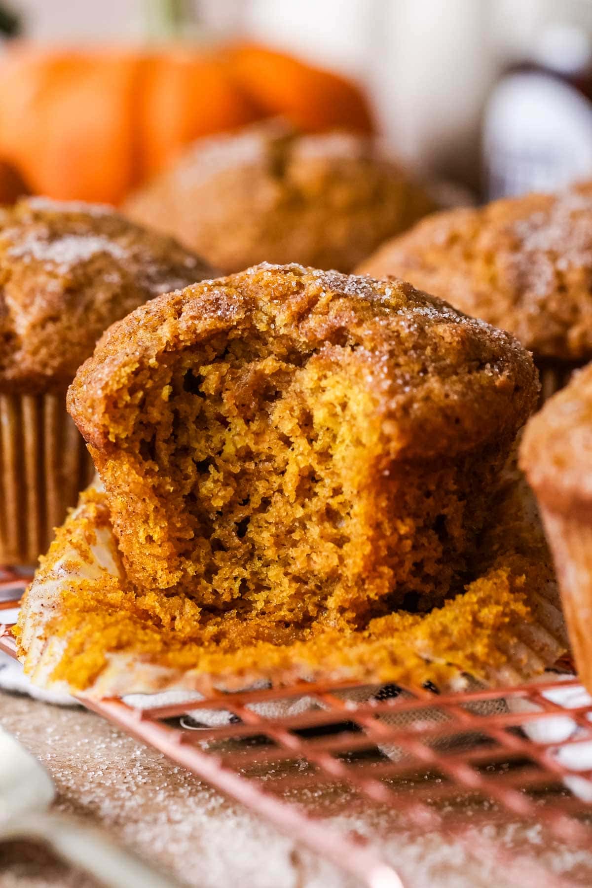 Bite missing from a muffin made with pumpkin and sourdough discard.