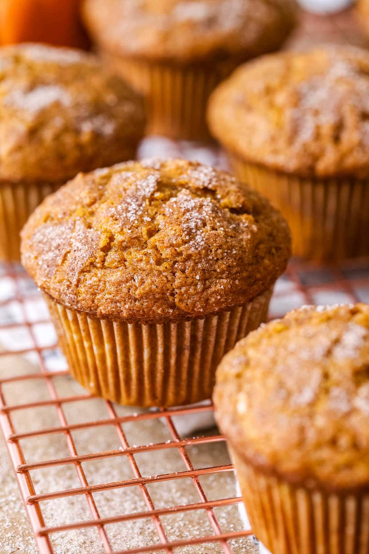 Muffins made with pumpkin and sourdough discard.