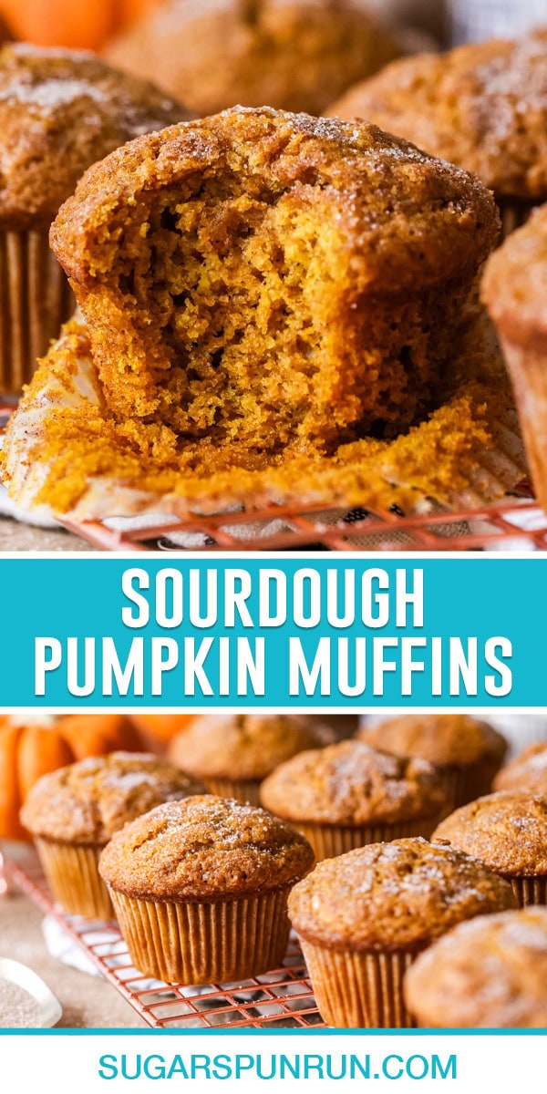 collage of sourdough pumpkin muffins, top image of single muffins, bottom image of multiple muffins on cooling rack
