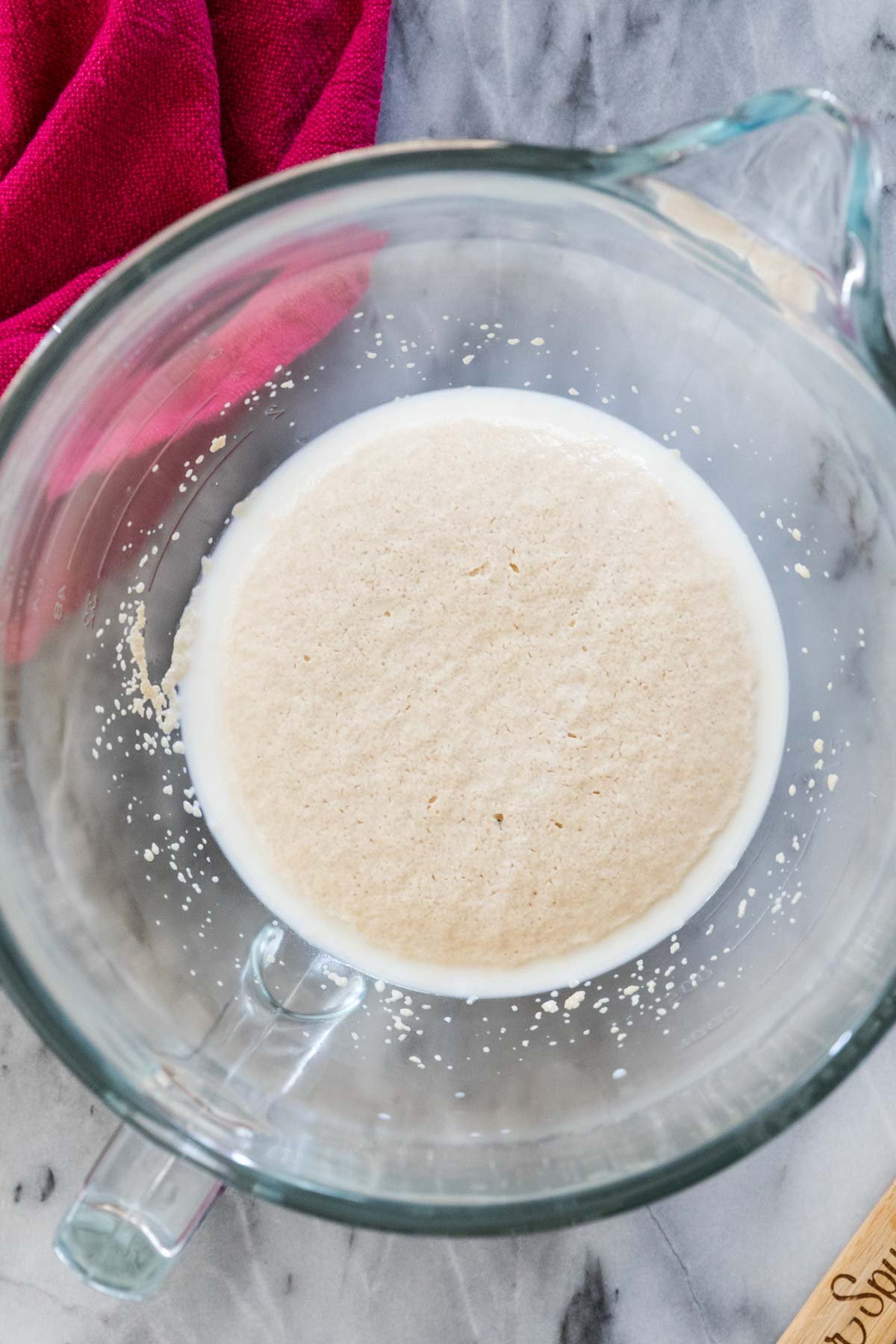 Activated yeast (foamy) in milk in glass mixing bowl on marble.